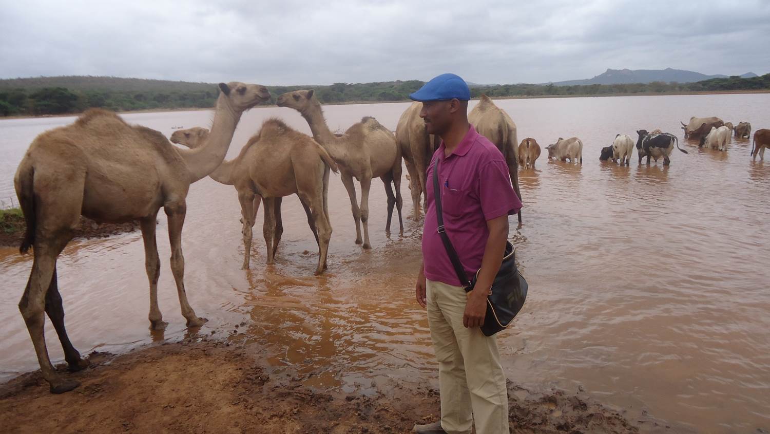 Alemayehu Debelo Jorgo